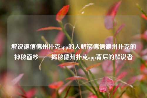 解说德信德州扑克app的人解密德信德州扑克的神秘面纱——揭秘德州扑克app背后的解说者