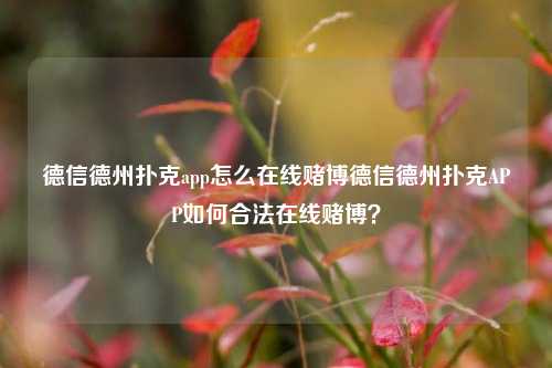 德信德州扑克app怎么在线赌博德信德州扑克APP如何合法在线赌博？