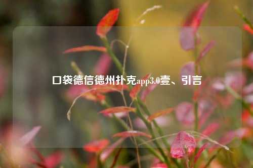 口袋德信德州扑克app3.0壹、引言
