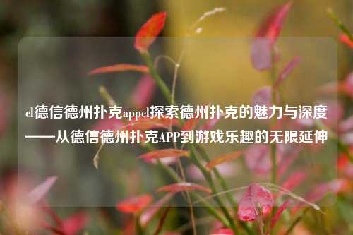 cl德信德州扑克appcl探索德州扑克的魅力与深度——从德信德州扑克APP到游戏乐趣的无限延伸