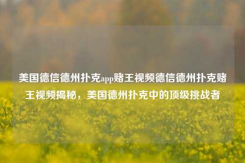 美国德信德州扑克app赌王视频德信德州扑克赌王视频揭秘，美国德州扑克中的顶级挑战者
