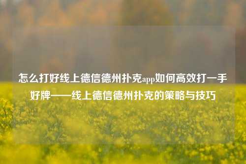 怎么打好线上德信德州扑克app如何高效打一手好牌——线上德信德州扑克的策略与技巧