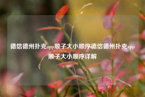 德信德州扑克app顺子大小顺序德信德州扑克app顺子大小顺序详解