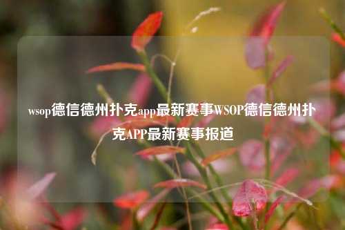 wsop德信德州扑克app最新赛事WSOP德信德州扑克APP最新赛事报道