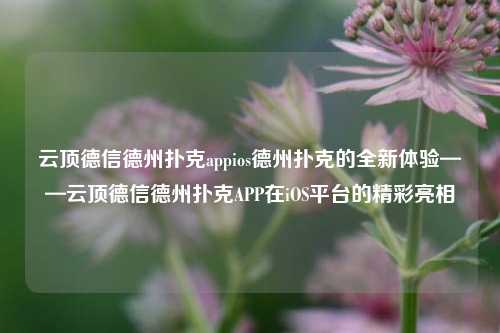 云顶德信德州扑克appios德州扑克的全新体验——云顶德信德州扑克APP在iOS平台的精彩亮相
