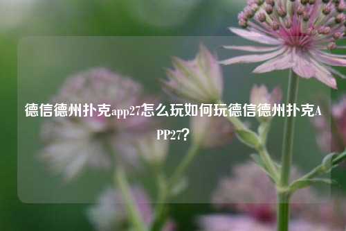 德信德州扑克app27怎么玩如何玩德信德州扑克APP27？