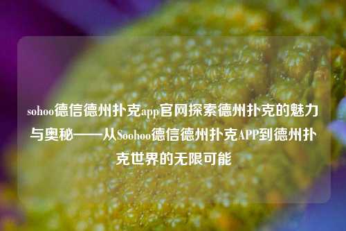 sohoo德信德州扑克app官网探索德州扑克的魅力与奥秘——从Soohoo德信德州扑克APP到德州扑克世界的无限可能