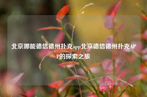 北京哪能德信德州扑克app北京德信德州扑克APP的探索之旅