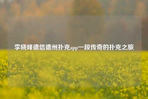 李晓峰德信德州扑克app一段传奇的扑克之旅