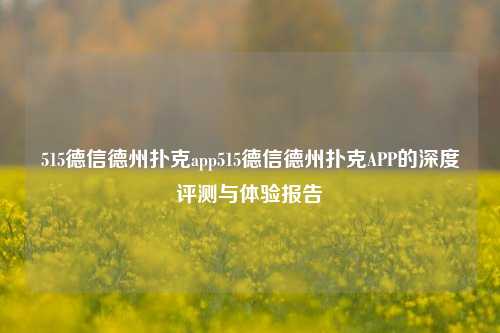 515德信德州扑克app515德信德州扑克APP的深度评测与体验报告