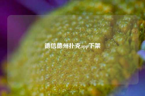德信德州扑克app下架