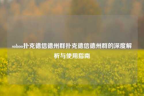 sohoo扑克德信德州群扑克德信德州群的深度解析与使用指南