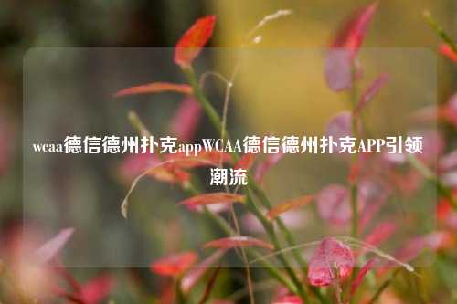 wcaa德信德州扑克appWCAA德信德州扑克APP引领潮流