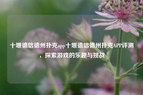 十堰德信德州扑克app十堰德信德州扑克APP评测，探索游戏的乐趣与挑战