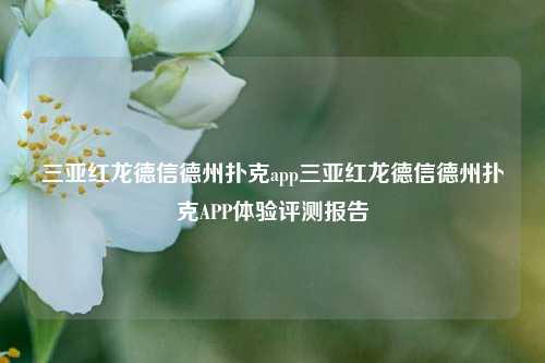 三亚红龙德信德州扑克app三亚红龙德信德州扑克APP体验评测报告