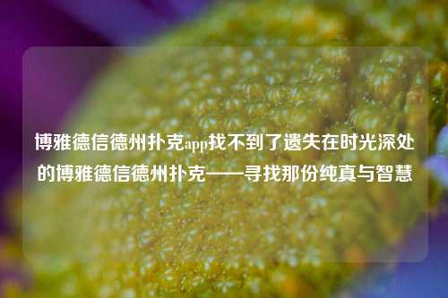 博雅德信德州扑克app找不到了遗失在时光深处的博雅德信德州扑克——寻找那份纯真与智慧