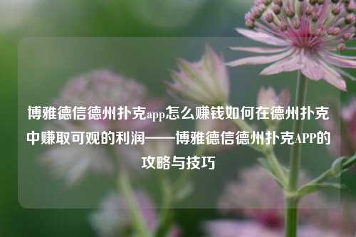 博雅德信德州扑克app怎么赚钱如何在德州扑克中赚取可观的利润——博雅德信德州扑克APP的攻略与技巧