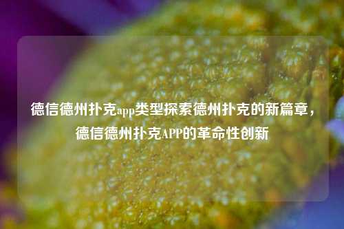 德信德州扑克app类型探索德州扑克的新篇章，德信德州扑克APP的革命性创新