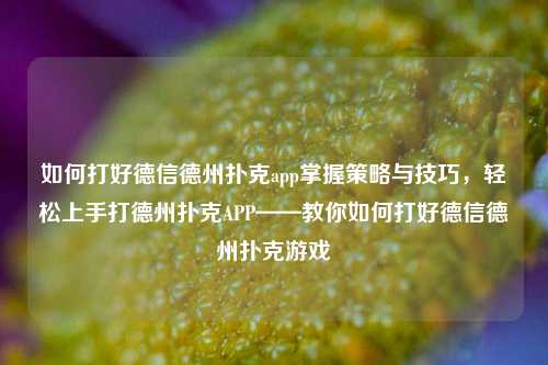如何打好德信德州扑克app掌握策略与技巧，轻松上手打德州扑克APP——教你如何打好德信德州扑克游戏