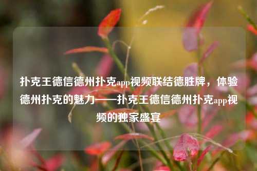 扑克王德信德州扑克app视频联结德胜牌，体验德州扑克的魅力——扑克王德信德州扑克app视频的独家盛宴