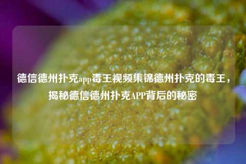 德信德州扑克app毒王视频集锦德州扑克的毒王，揭秘德信德州扑克APP背后的秘密