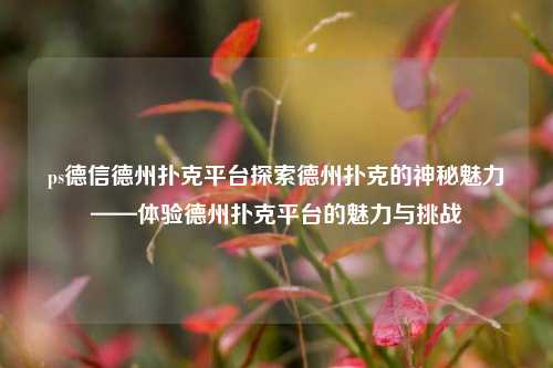 ps德信德州扑克平台探索德州扑克的神秘魅力——体验德州扑克平台的魅力与挑战