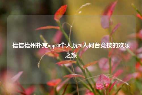 德信德州扑克app20个人玩20人同台竞技的欢乐之旅