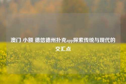 澳门 小额 德信德州扑克app探索传统与现代的交汇点