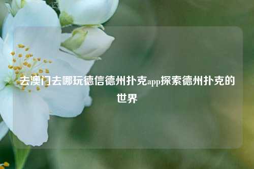 去澳门去哪玩德信德州扑克app探索德州扑克的世界