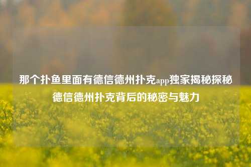 那个扑鱼里面有德信德州扑克app独家揭秘探秘德信德州扑克背后的秘密与魅力