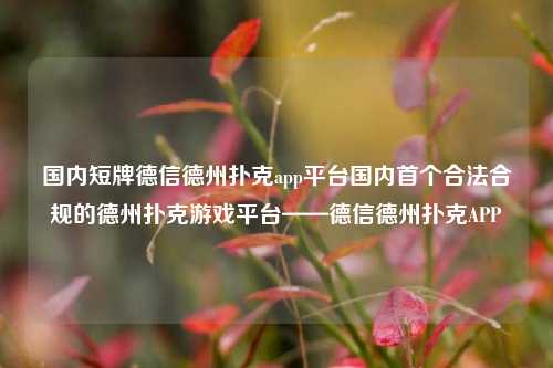国内短牌德信德州扑克app平台国内首个合法合规的德州扑克游戏平台——德信德州扑克APP