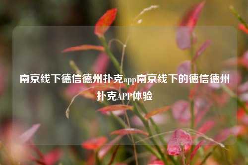 南京线下德信德州扑克app南京线下的德信德州扑克APP体验