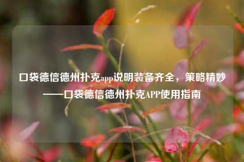 口袋德信德州扑克app说明装备齐全，策略精妙——口袋德信德州扑克APP使用指南