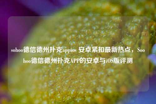 sohoo德信德州扑克appios 安卓紧扣最新热点，Soohoo德信德州扑克APP的安卓与iOS版评测