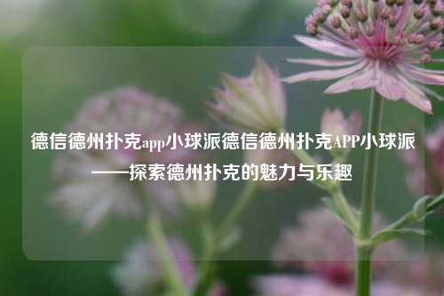 德信德州扑克app小球派德信德州扑克APP小球派——探索德州扑克的魅力与乐趣
