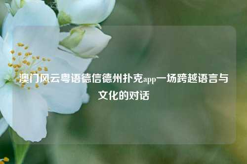 澳门风云粤语德信德州扑克app一场跨越语言与文化的对话