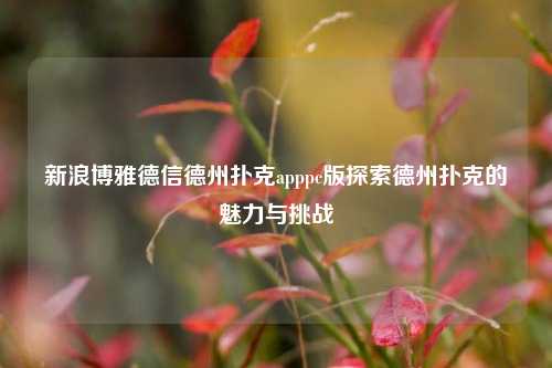 新浪博雅德信德州扑克apppc版探索德州扑克的魅力与挑战