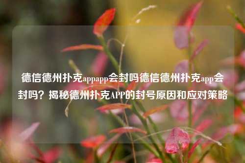 德信德州扑克appapp会封吗德信德州扑克app会封吗？揭秘德州扑克APP的封号原因和应对策略