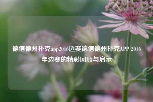 德信德州扑克app2016边赛德信德州扑克APP 2016年边赛的精彩回顾与启示
