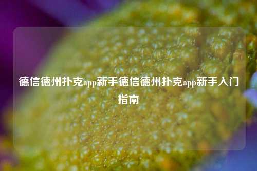 德信德州扑克app新手德信德州扑克app新手入门指南