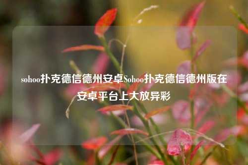 sohoo扑克德信德州安卓Sohoo扑克德信德州版在安卓平台上大放异彩