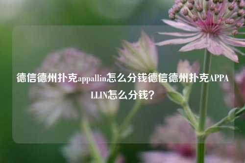 德信德州扑克appallin怎么分钱德信德州扑克APPALLIN怎么分钱？