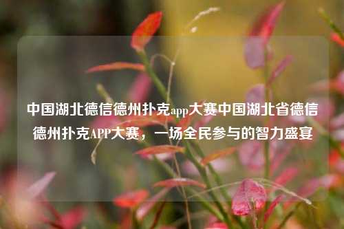 中国湖北德信德州扑克app大赛中国湖北省德信德州扑克APP大赛，一场全民参与的智力盛宴