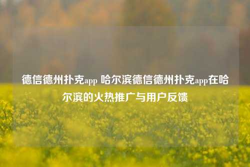 德信德州扑克app 哈尔滨德信德州扑克app在哈尔滨的火热推广与用户反馈