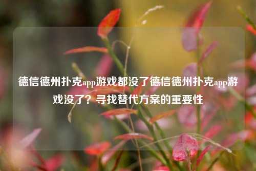 德信德州扑克app游戏都没了德信德州扑克app游戏没了？寻找替代方案的重要性