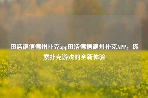 田浩德信德州扑克app田浩德信德州扑克APP，探索扑克游戏的全新体验