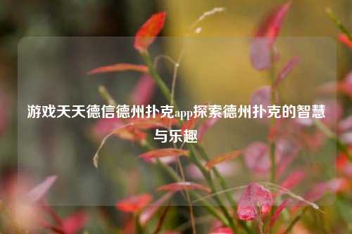 游戏天天德信德州扑克app探索德州扑克的智慧与乐趣