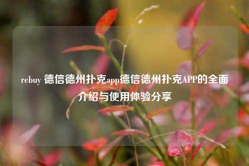 rebuy 德信德州扑克app德信德州扑克APP的全面介绍与使用体验分享