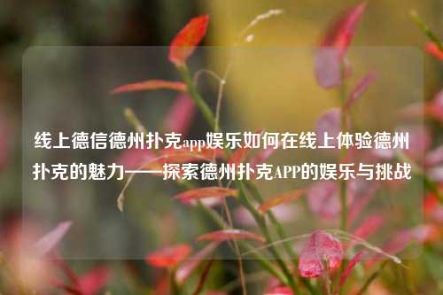 线上德信德州扑克app娱乐如何在线上体验德州扑克的魅力——探索德州扑克APP的娱乐与挑战