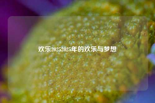 欢乐20252025年的欢乐与梦想